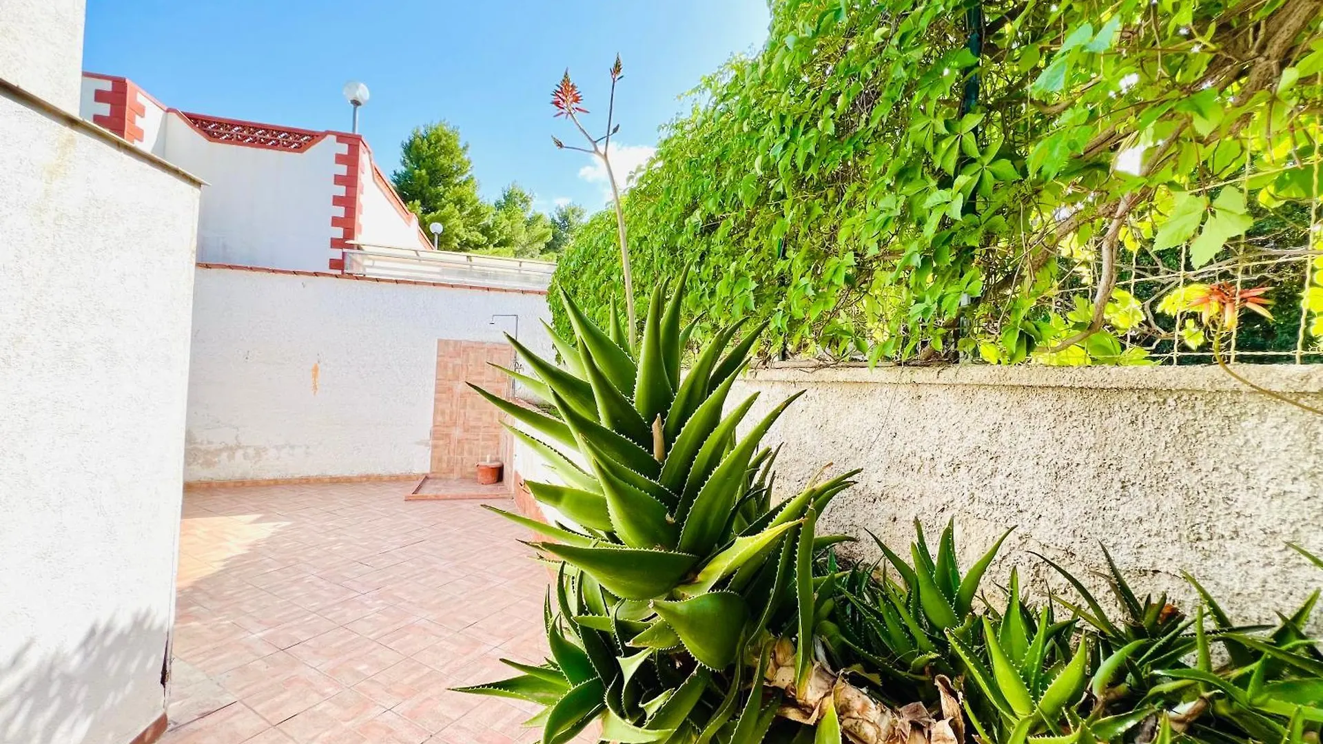 Holiday home Stella Marina Villa Carini